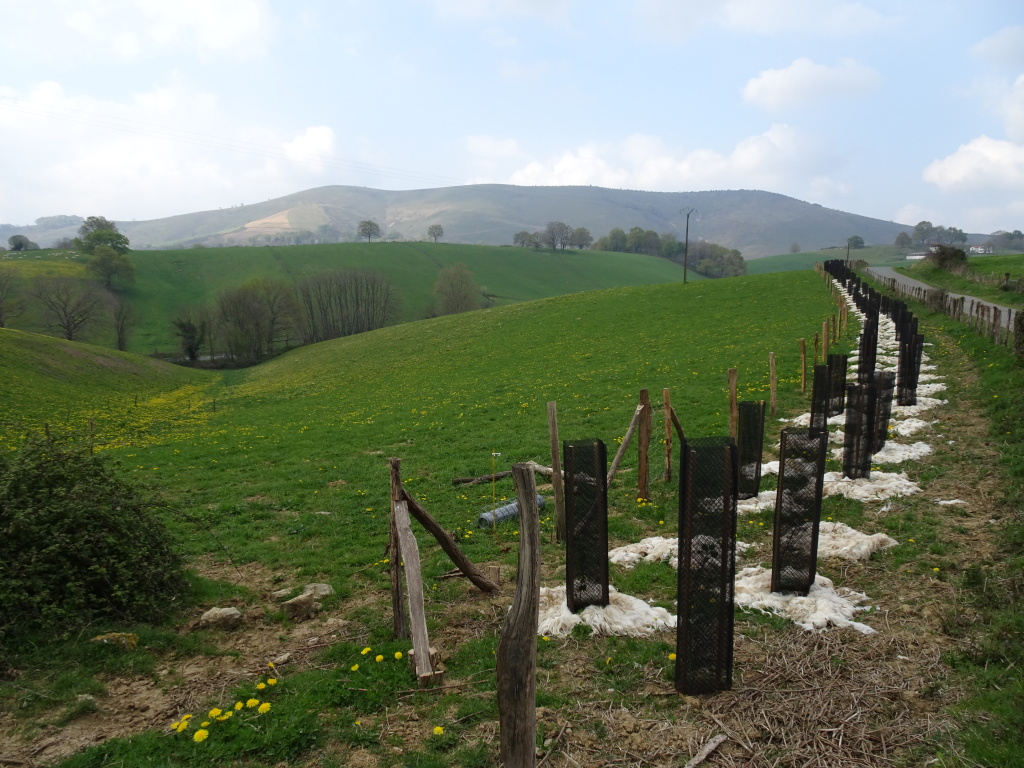 Agriculture Paysanne