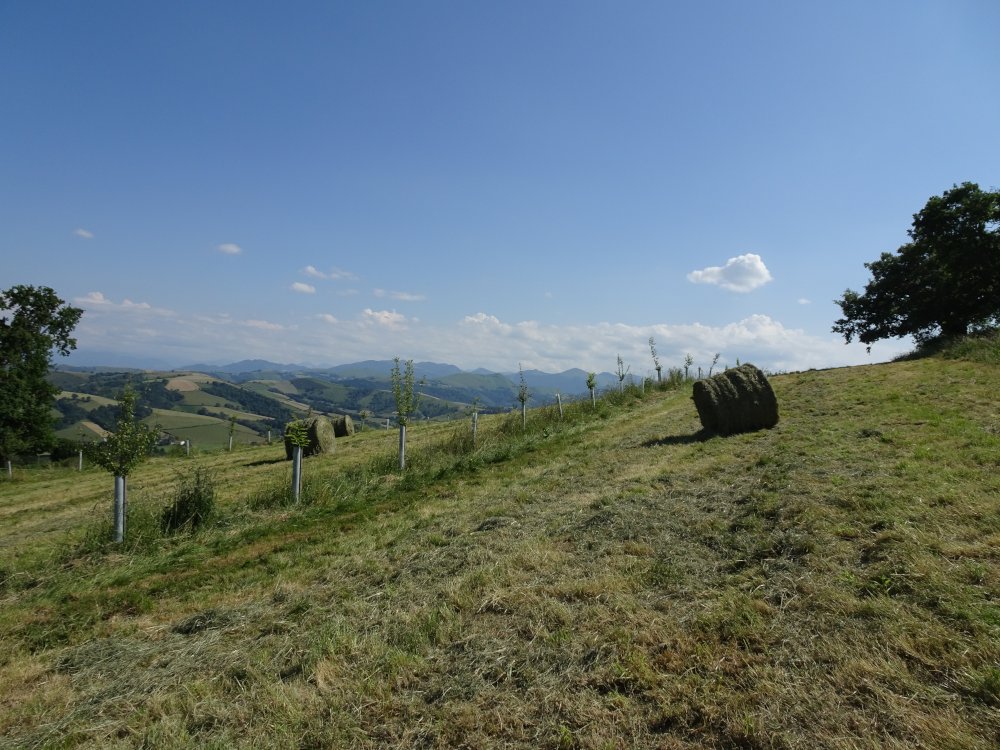 Agriculture Paysanne