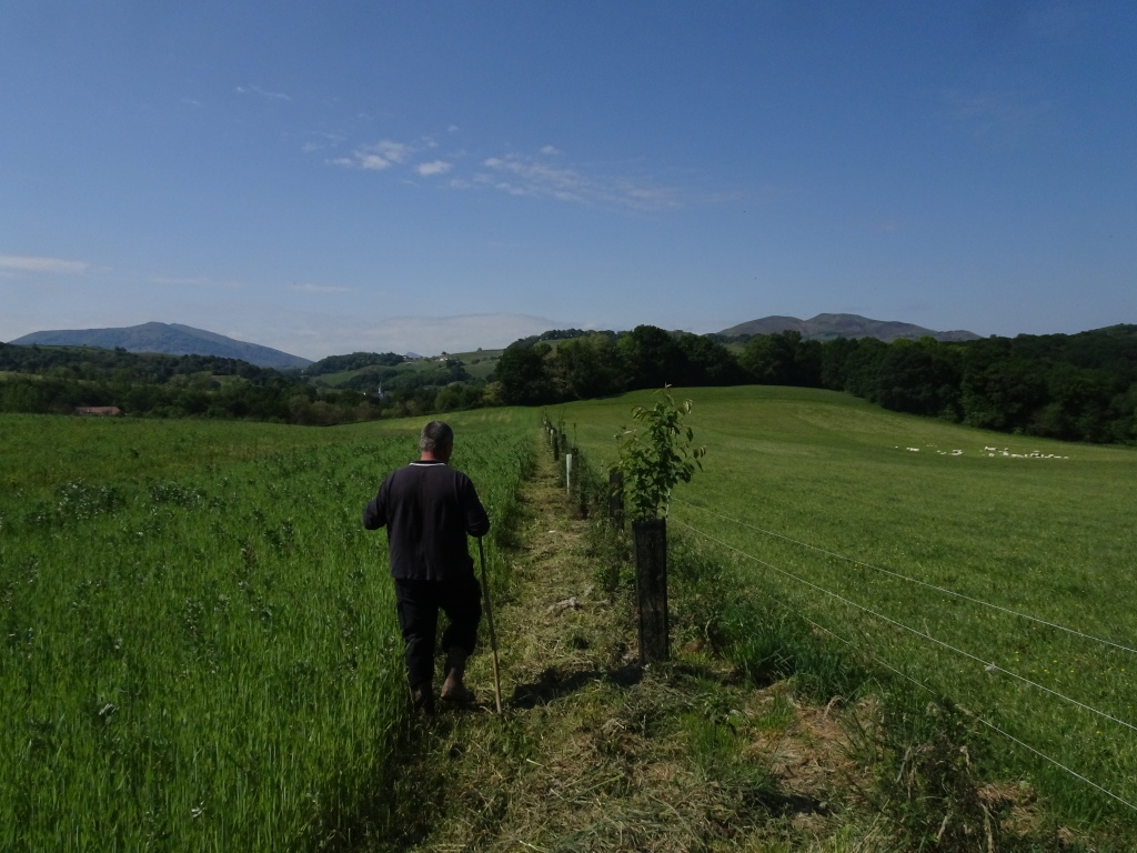 Agriculture Paysanne
